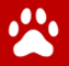 icon3