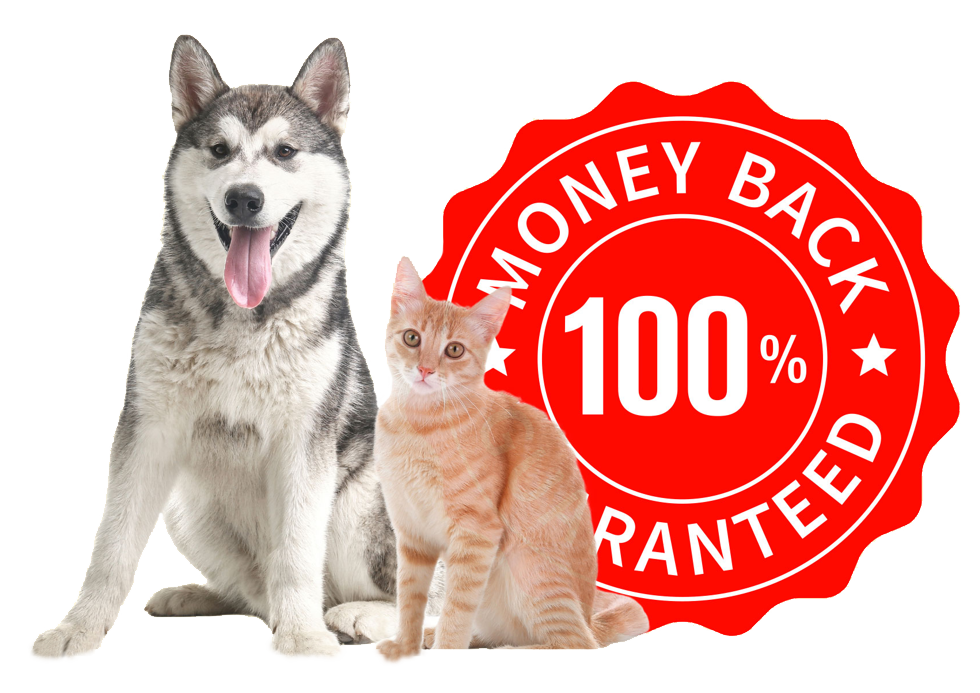 money back guarantee