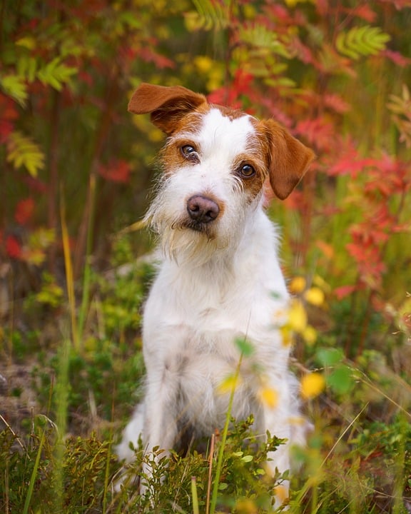 Account Management: The state typically provides a way for families to manage their ESA funds, ensuring compliance with the law and tracking of expenses.