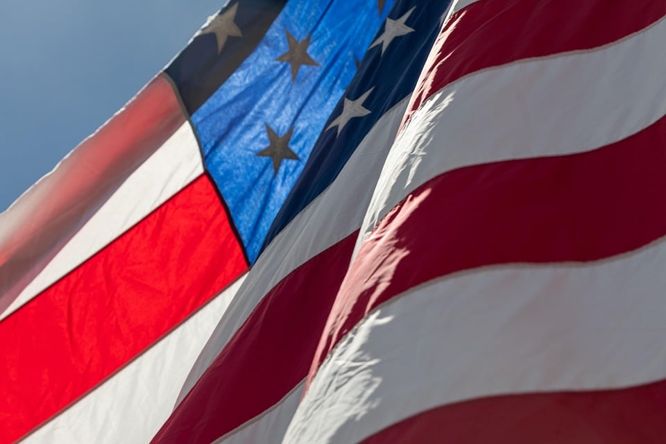 Discover the American Curl: A Purrfect Companion with Unique Ears!