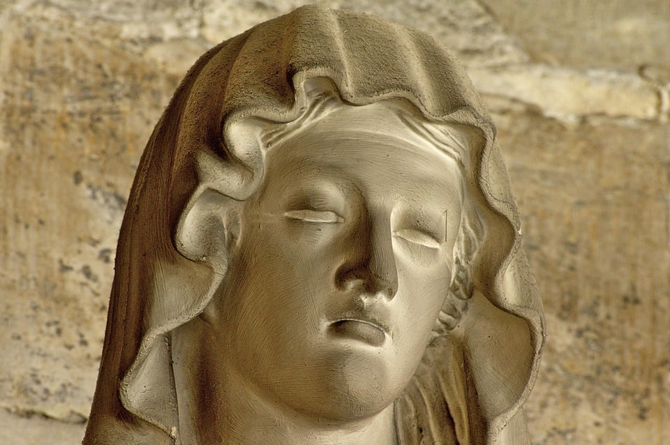 Discover the Braque Saint-Germain: Charm and Care for Your New Best Friend