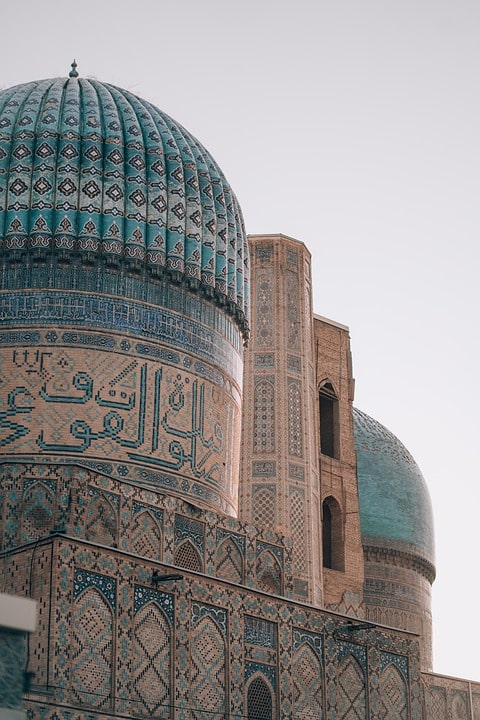 Top Care Tips for Your Persian: Grooming, Wellness, and Love!