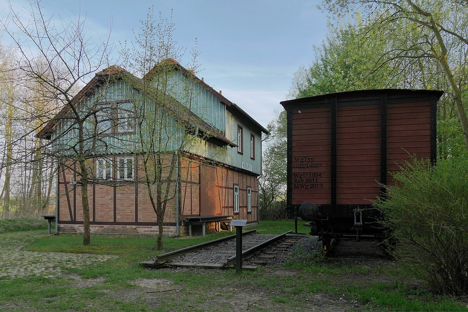 Unleashing Joy: The Unique Personality of the Schapendoes