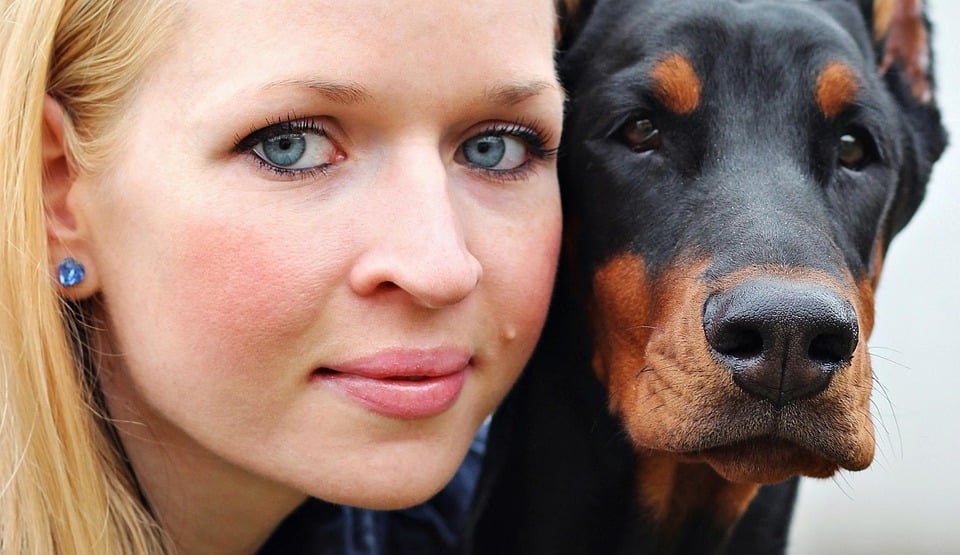 Unleashing Love: Why Doberman Pinschers Are Perfect Family Pets