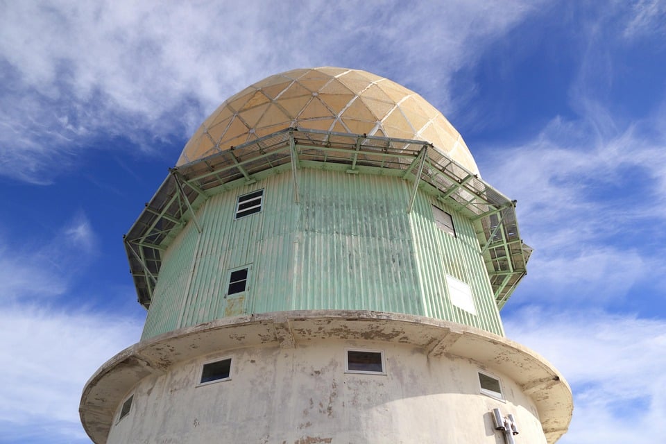 Unleashing Loyalty: 5 Unique Traits of the Estrela Mountain Dog