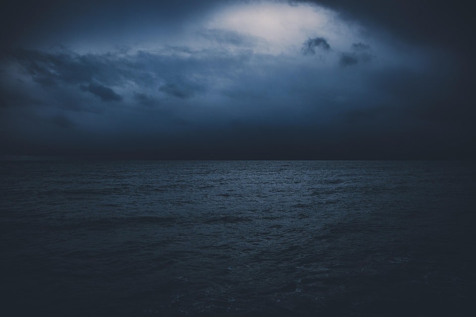 Unlocking the Mystique of Russian Blue Cats: Unique Traits & Care Tips