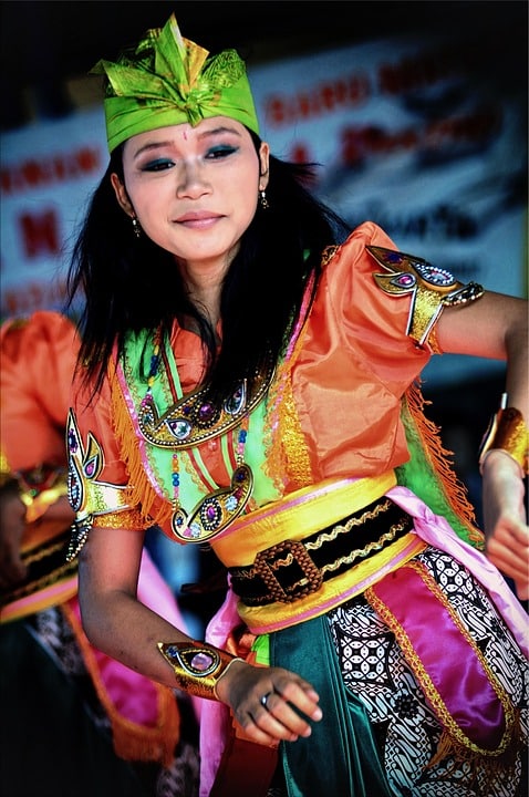 Why Javanese Cats Are the Ideal Companions for Your Home