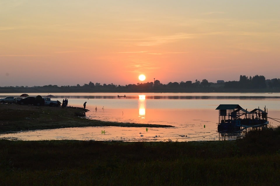 Why Korats Make Purr-fect Pets: Unique Traits & Love Benefits