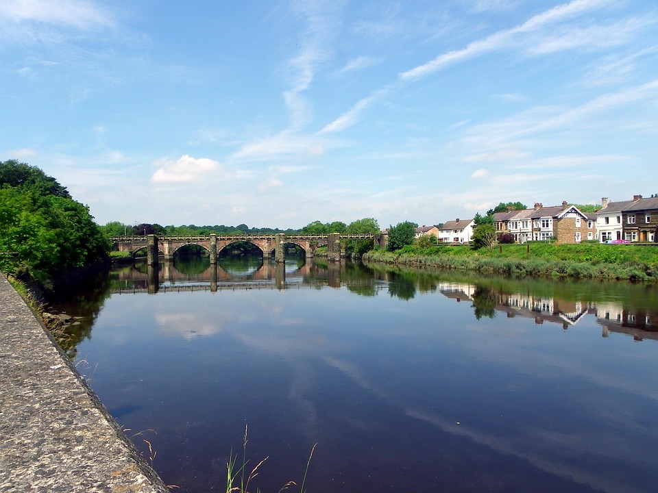 5 Unique Traits of Lancashire Heelers That Will Steal Your Heart