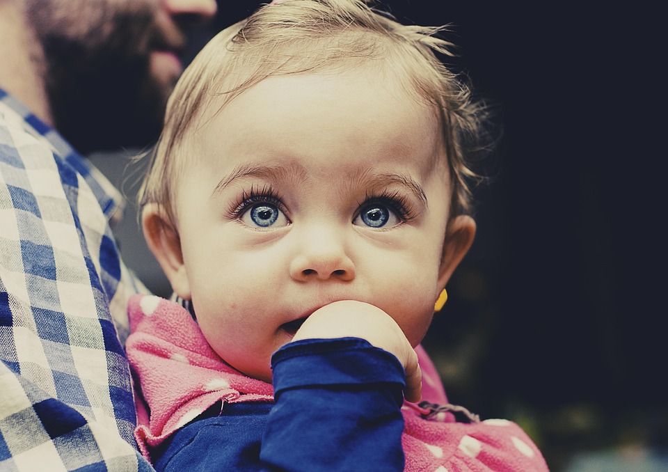 “Amazing Facts About Ojos Azules: Why They’re Ideal Family Companions”