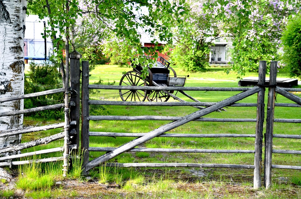 Unlock the Joys of Owning a Swedish Lapphund: Unique Traits & Care!