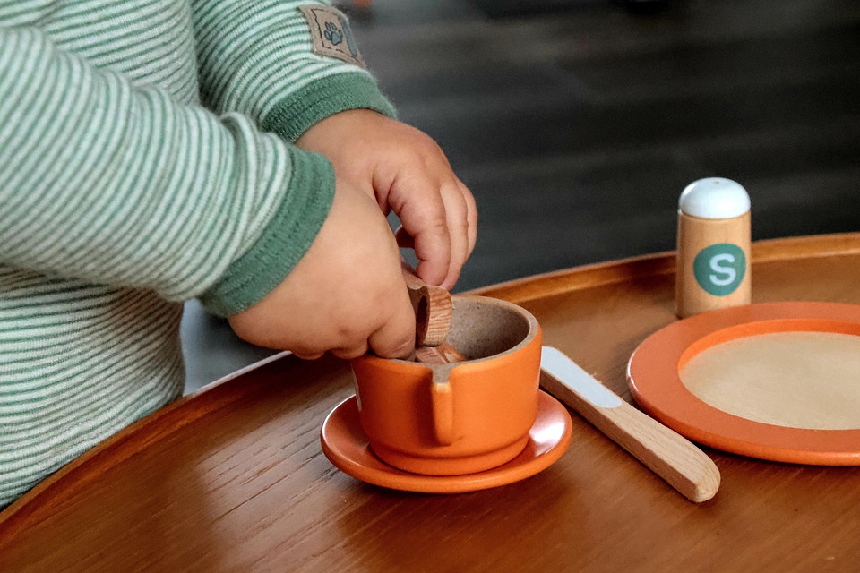 Caring for Your Toy Fox Terrier: Tips for a Happy, Healthy Pup