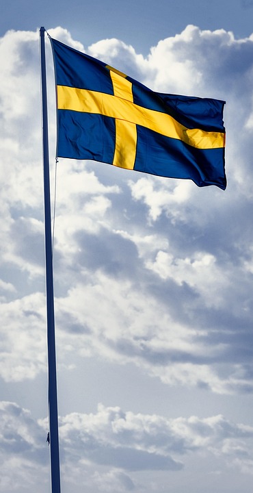 Discover the Joyful Swedish Lapphund: A Loyal Family Companion