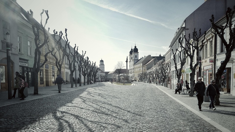 Discover the Lovable Slovensky Kopov: Your New Best Friend Awaits!