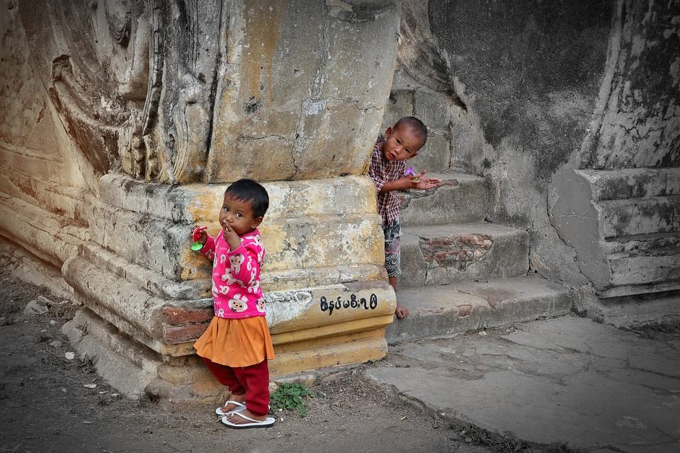 The Charismatic European Burmese: A Perfect Companion for Pet Lovers