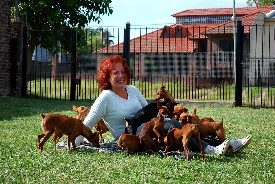 Top Care Tips for Dogo Argentinos: Happy, Healthy, and Social!