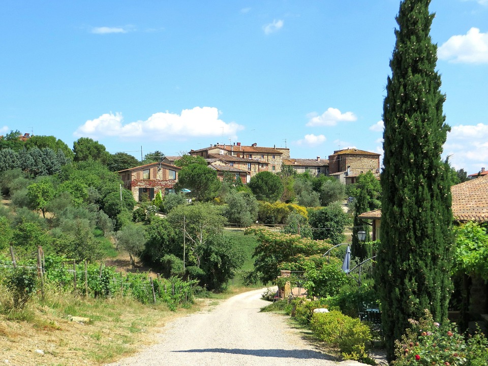 Lagotto Romagnolo: Uncovering Their Unique Traits and Care Tips