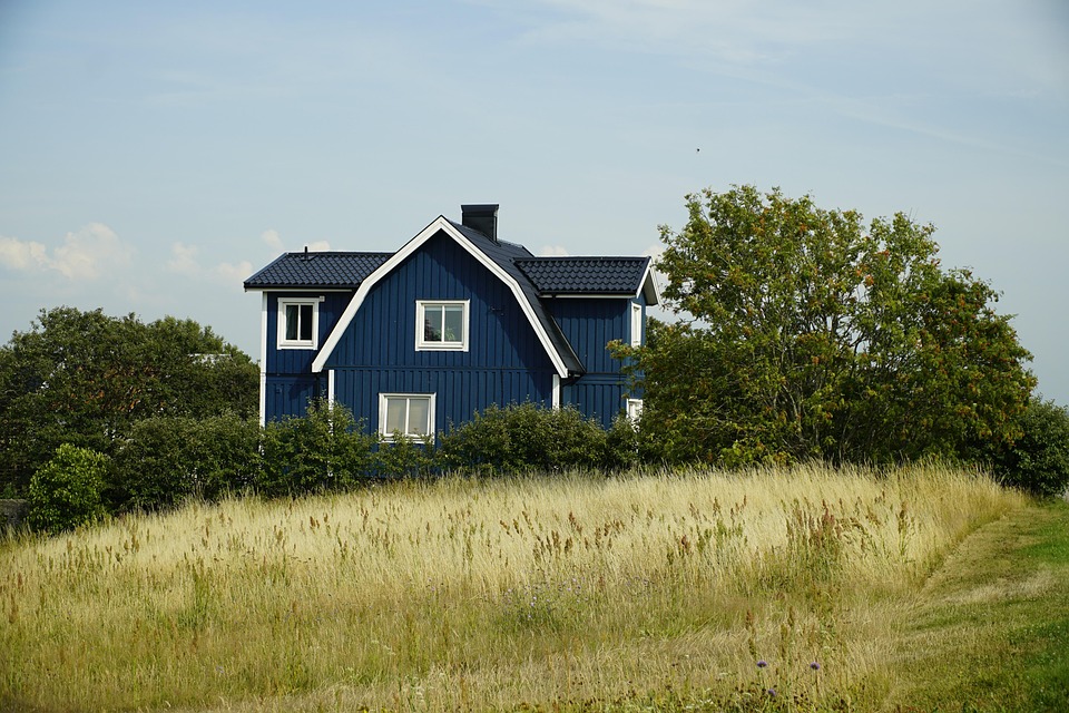 Why the Swedish Lapphund is the Perfect Pet for Active Families