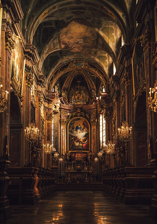 Discover the Braque Saint-Germain: Playful Friend & Family Dog