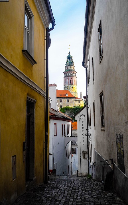 Discover the Joys of Owning a Cesky Terrier: Unique Traits & Tips