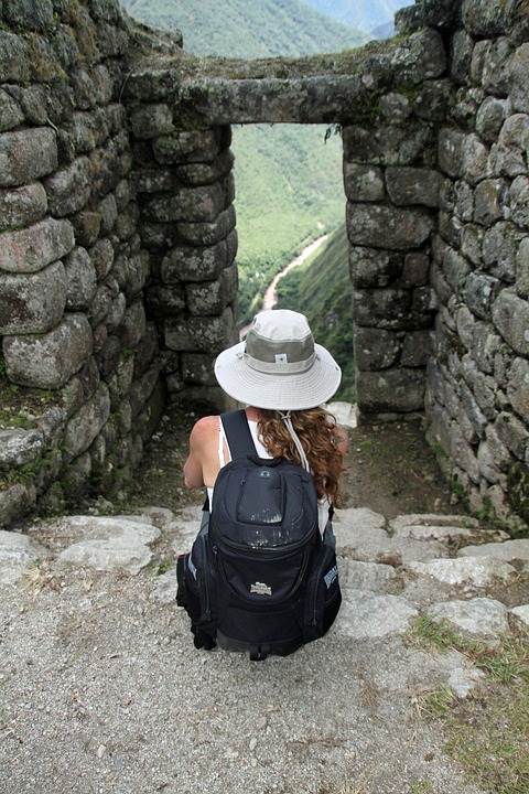 The Peruvian Inca Orchid: Your Guide to This Affectionate Companion!