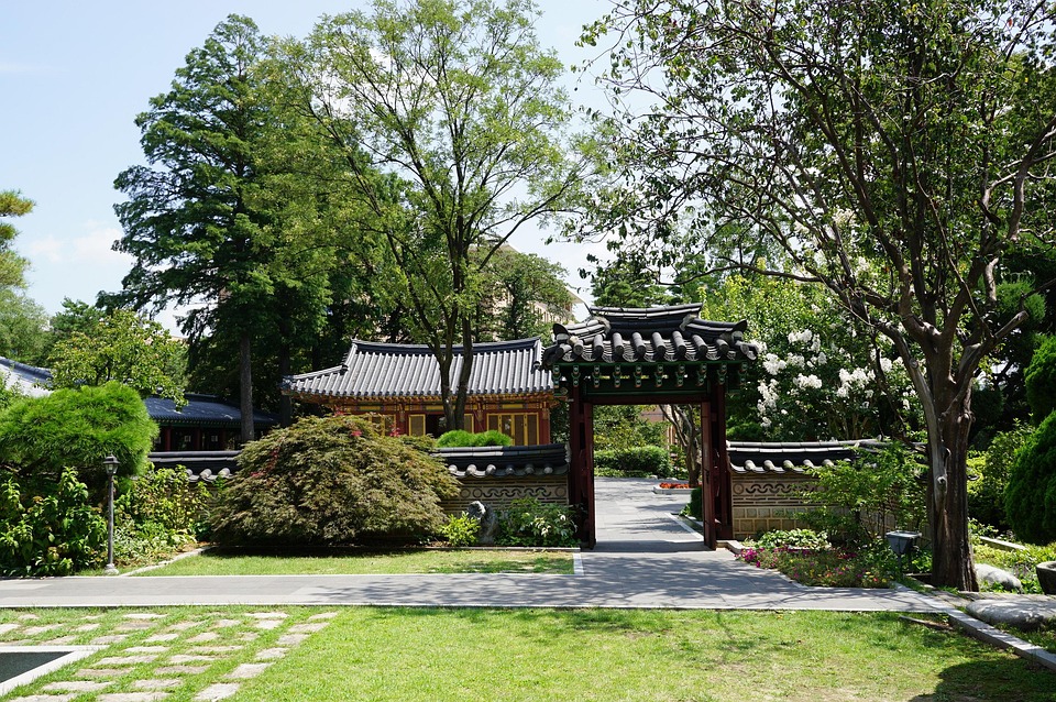 Discover the Unique Charm of the Korean Jindo: Facts and Care Tips