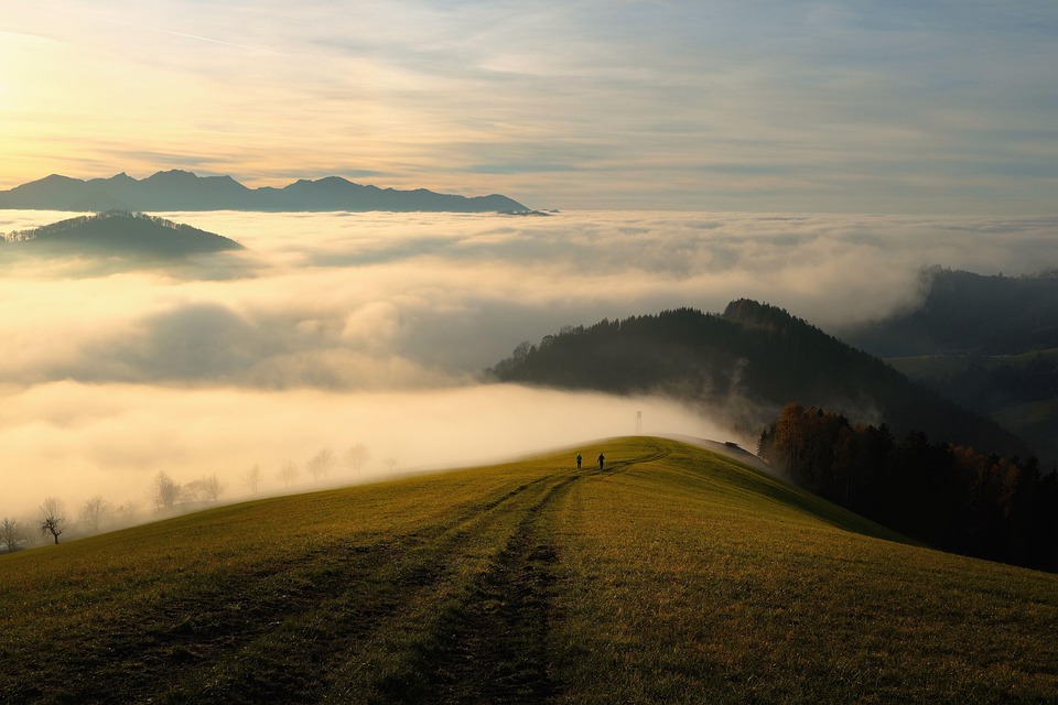 Mountain Cur Magic: Unleashing Loyalty and Adventure in Your Home