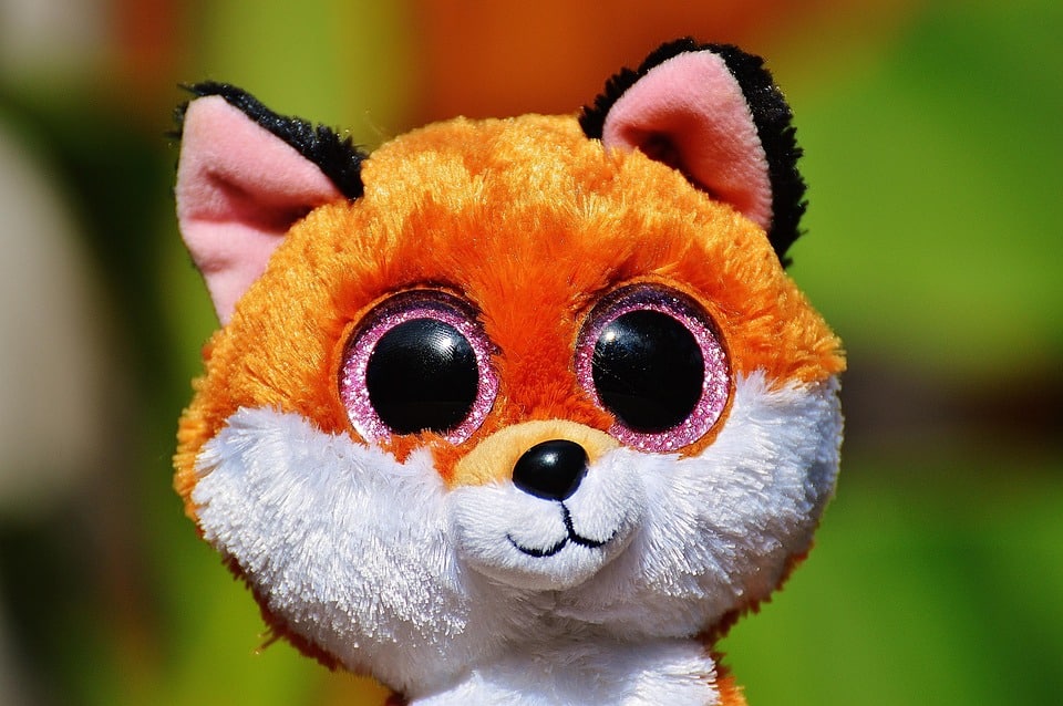 The Adorable Personality of Toy Fox Terriers: What to Know!