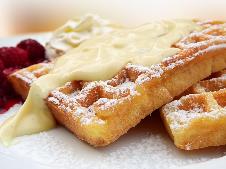 Top Care Tips for Belgian Laekenois: Unleashing Happiness Daily!