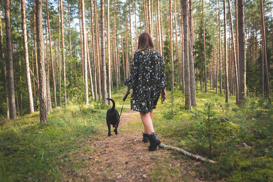 10 Reasons Why Curly-Coated Retrievers Make Perfect Family Pets