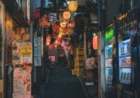 Caring for the Exotic Burmese Cat: Tips for a Happy Companion