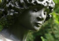 Emotional Benefits of Owning an American Curl: A Heartfelt Connection