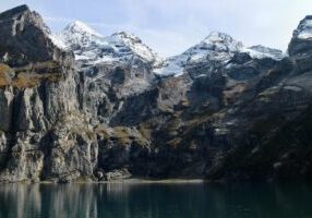 Why Greater Swiss Mountain Dogs Are the Perfect Family Companions